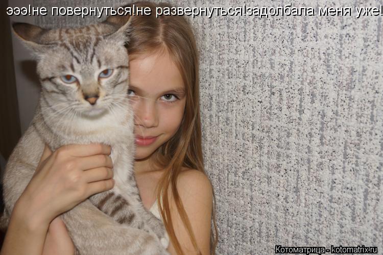 эээ!не повернуться!не развернуться!задолбала меня уже!... Котоматрица: эээ!не повернуться!не развернуться!задолбала меня уже!