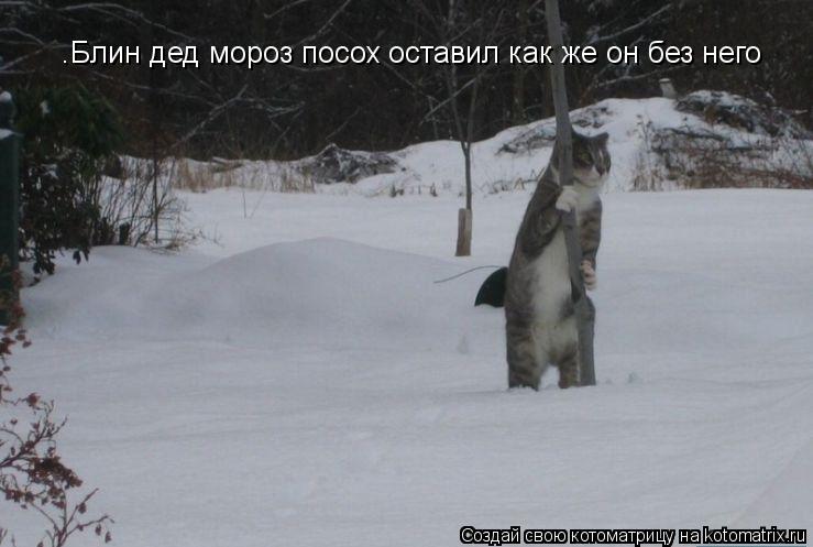 Котоматрица: .Блин дед мороз посох оставил как же он без него