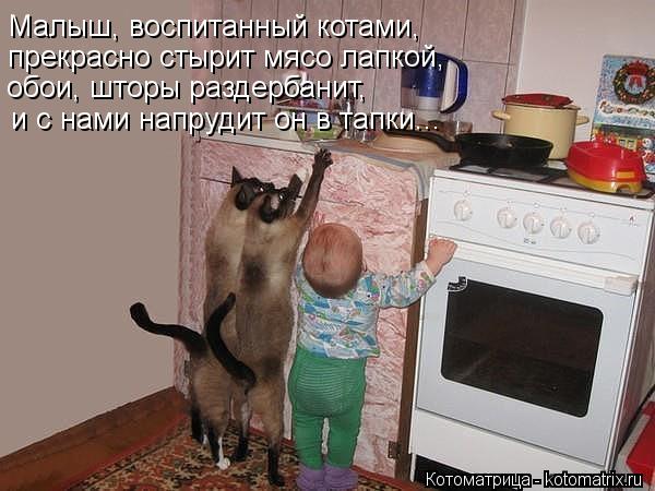 Малыш, воспитанный котами, прекрасно стырит мясо лапкой, обои, шторы раздербанит, и с нами напрудит о... Котоматрица: Малыш, воспитанный котами, прекрасно стырит мясо лапкой, обои, шторы раздербанит, и с нами напрудит он в тапки...