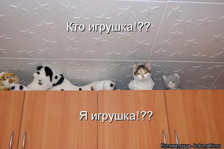 Кто игрушка!?? Я игрушка!??... Котоматрица: Кто игрушка!?? Я игрушка!??