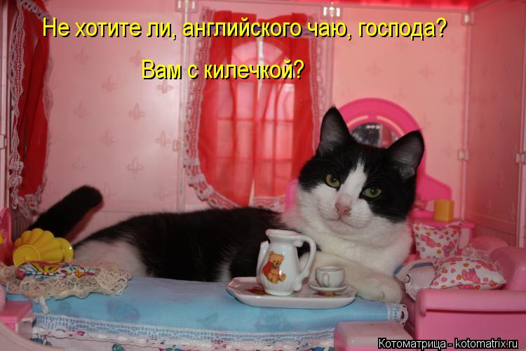 Не хотите ли, английского чаю, господа? Вам с килечкой?... Котоматрица: Не хотите ли, английского чаю, господа? Вам с килечкой?