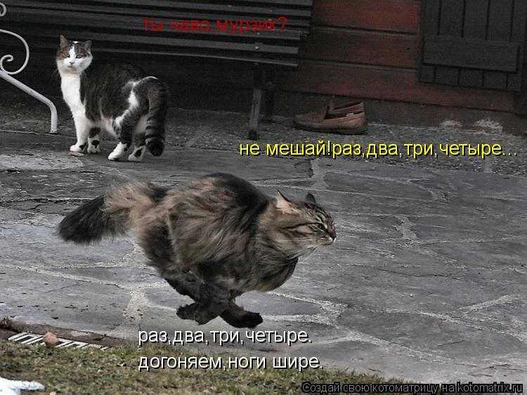 раз,два,три,четыре. догоняем,ноги шире. ты чаво,мурзик? не мешай!раз,два,три,четыре...... Котоматрица: раз,два,три,четыре. догоняем,ноги шире. ты чаво,мурзик? не мешай!раз,два,три,четыре...