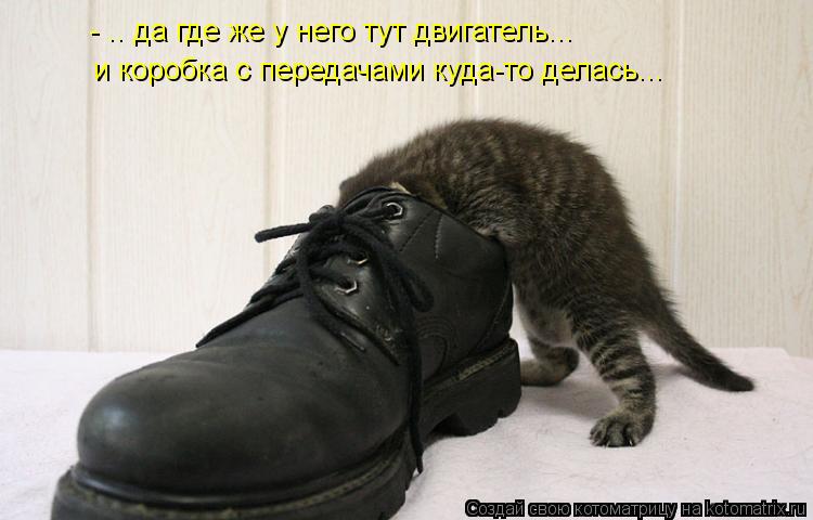 - .. да где же у него тут двигатель... и коробка с передачами куда-то делась...... Котоматрица: - .. да где же у него тут двигатель... и коробка с передачами куда-то делась...