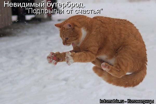 Невидимый бутерброд. "Подпрыгни от счастья"... Котоматрица: Невидимый бутерброд. "Подпрыгни от счастья"
