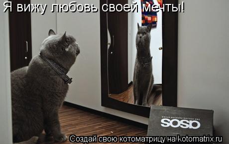 Я вижу любовь своей мечты!... Котоматрица: Я вижу любовь своей мечты!