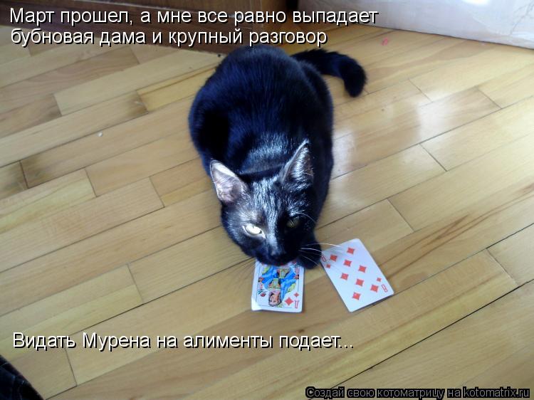 Март прошел, а мне все равно выпадает бубновая дама и крупный разговор Видать Мурена на алименты под... Котоматрица: Март прошел, а мне все равно выпадает бубновая дама и крупный разговор Видать Мурена на алименты подает...