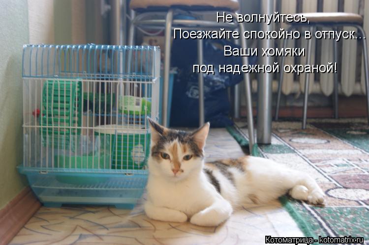 Не волнуйтесь, Поезжайте спокойно в отпуск... Ваши хомяки под надежной охраной!... Котоматрица: Не волнуйтесь, Поезжайте спокойно в отпуск... Ваши хомяки под надежной охраной!