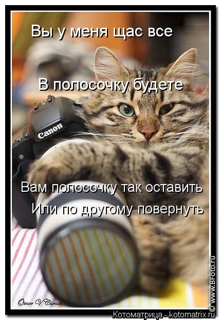 Вы у меня щас все В полосочку будете Вам полосочку так оставить Или по другому повернуть... Котоматрица: Вы у меня щас все В полосочку будете Вам полосочку так оставить Или по другому повернуть