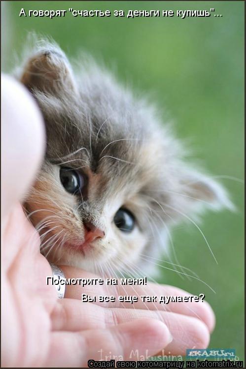 А говорят "счастье за деньги не купишь"... Посмотрите на меня! Вы все еще так думаете?... Котоматрица: А говорят "счастье за деньги не купишь"... Посмотрите на меня! Вы все еще так думаете?