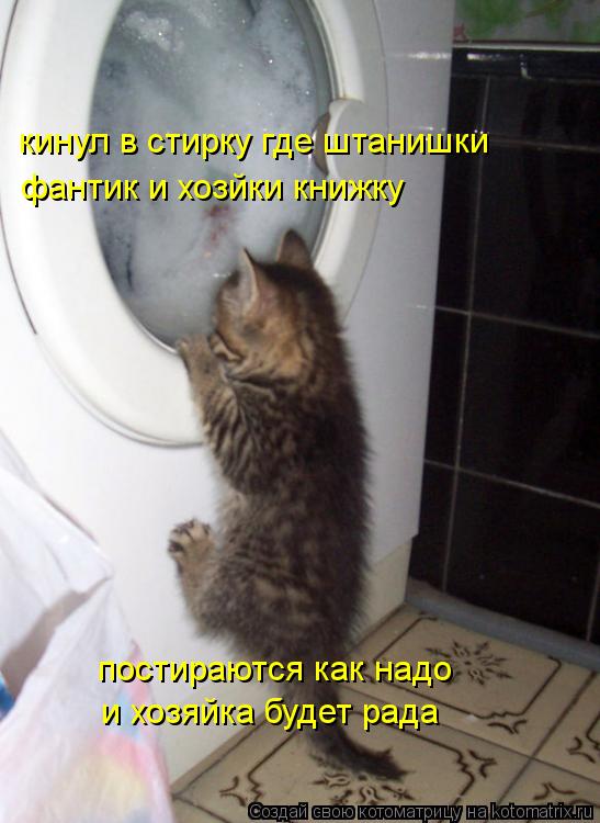 кинул в стирку где штанишки фантик и хозйки книжку постираются как надо и хозяйка будет рада... Котоматрица: кинул в стирку где штанишки фантик и хозйки книжку постираются как надо и хозяйка будет рада