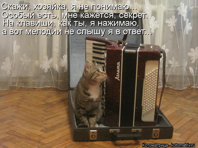 Котоматрица: Скажи, хозяйка, я не понимаю... Особый есть, мне кажется, секрет. а вот мелодии не слышу я в ответ... На клавиши, как ты, я нажимаю,