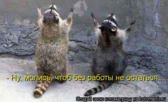 - Ну, молись, чтоб без работы не остаться........ Котоматрица: - Ну, молись, чтоб без работы не остаться.....