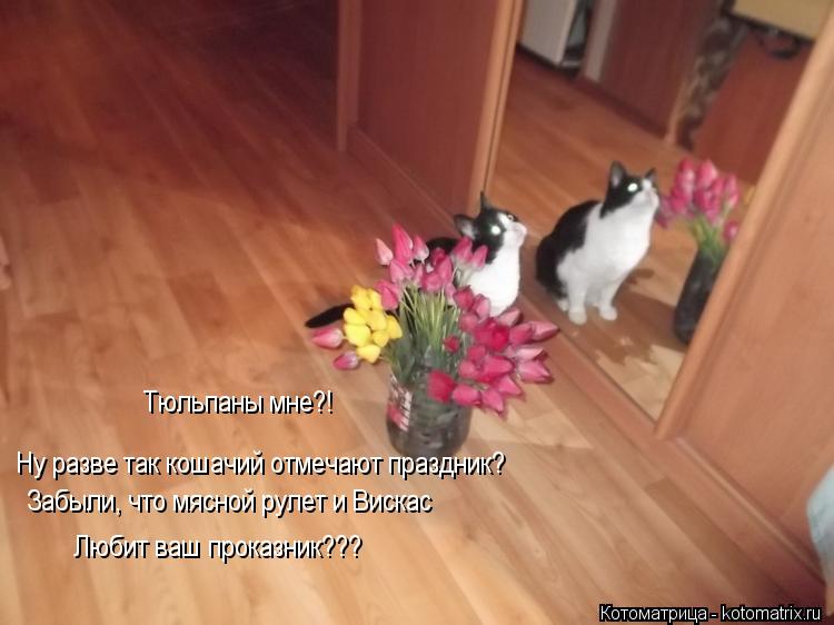 Тюльпаны мне?! Ну разве так кошачий отмечают праздник? Забыли, что мясной рулет и Вискас Любит ваш п... Котоматрица: Тюльпаны мне?! Ну разве так кошачий отмечают праздник? Забыли, что мясной рулет и Вискас Любит ваш проказник???