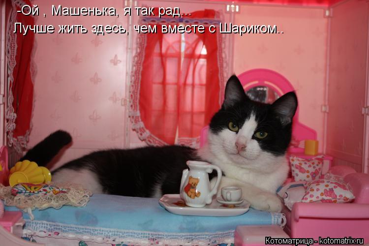 -Ой , Машенька, я так рад... Лучше жить здесь, чем вместе с Шариком..... Котоматрица: -Ой , Машенька, я так рад... Лучше жить здесь, чем вместе с Шариком..