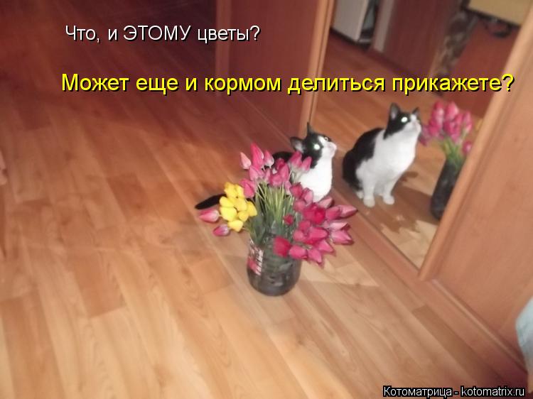 Что, и ЭТОМУ цветы? Может еще и кормом делиться прикажете?... Котоматрица: Что, и ЭТОМУ цветы? Может еще и кормом делиться прикажете?