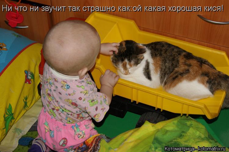 Ни что ни звучит так страшно как:ой какая хорошая кися!... Котоматрица: Ни что ни звучит так страшно как:ой какая хорошая кися!