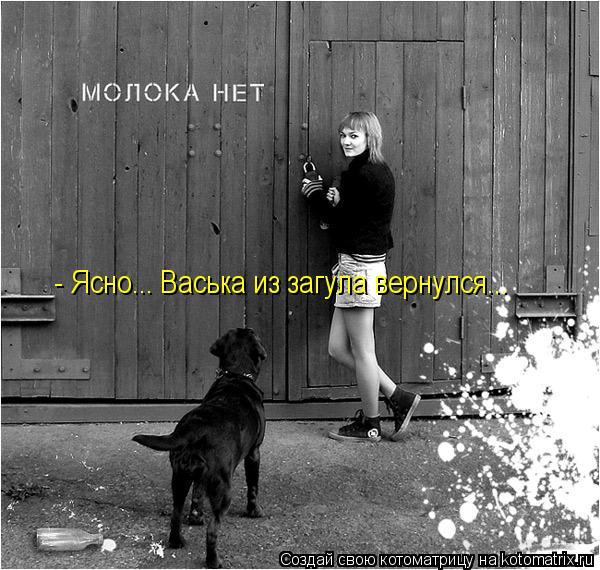 - Ясно... Васька из загула вернулся...... Котоматрица: - Ясно... Васька из загула вернулся...