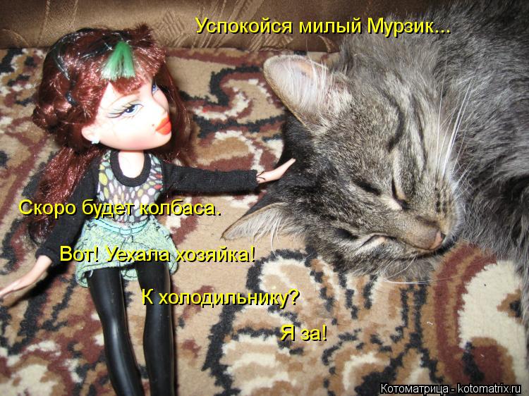 Успокойся милый Мурзик... Скоро будет колбаса. Вот! Уехала хозяйка! К холодильнику? Я за!... Котоматрица: Успокойся милый Мурзик... Скоро будет колбаса. Вот! Уехала хозяйка! К холодильнику? Я за!