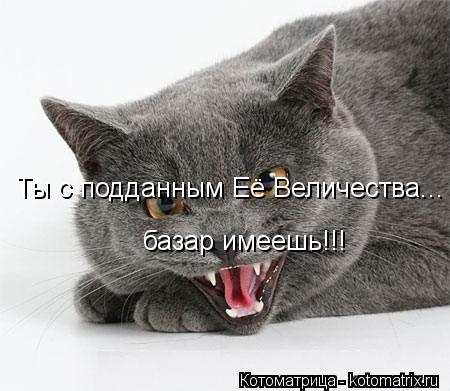 Ты с подданным Её Величества... базар имеешь!!!... Котоматрица: Ты с подданным Её Величества... базар имеешь!!!