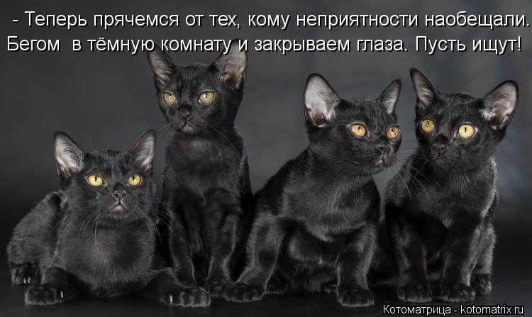 Котоматрица: - Теперь прячемся от тех, кому неприятности наобещали. Бегом  в тёмную комнату и закрываем глаза. Пусть ищут!