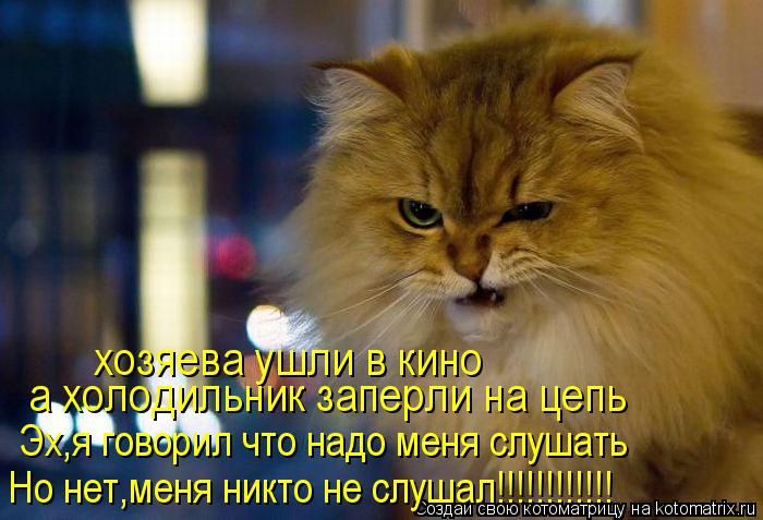 Котоматрица: хозяева ушли в кино а холодильник заперли на цепь Эх,я говорил что надо меня слушать Но нет,меня никто не слушал!!!!!!!!!!!!