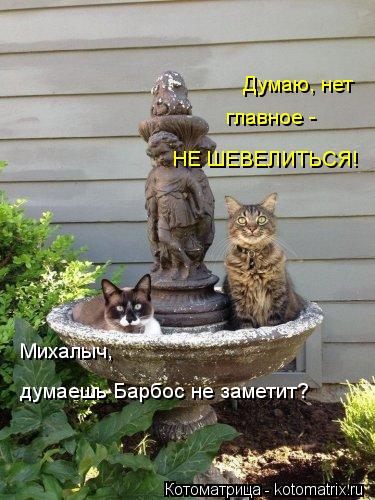Михалыч, думаешь Барбос не заметит? Думаю, нет главное - НЕ ШЕВЕЛИТЬСЯ!... Котоматрица: Михалыч, думаешь Барбос не заметит? Думаю, нет главное - НЕ ШЕВЕЛИТЬСЯ!