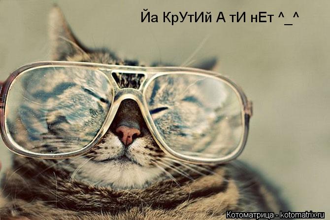 Котоматрица: Йа КрУтИй А тИ нЕт ^_^