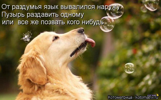 Пузырь раздавить одному От раздумья язык вывалился наружу: или все же позвать кого нибудь... Котоматрица: Пузырь раздавить одному От раздумья язык вывалился наружу: или все же позвать кого нибудь