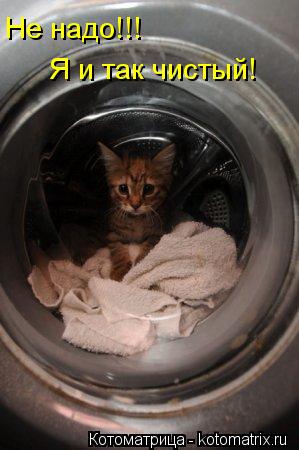 Не надо!!! Я и так чистый!... Котоматрица: Не надо!!! Я и так чистый!