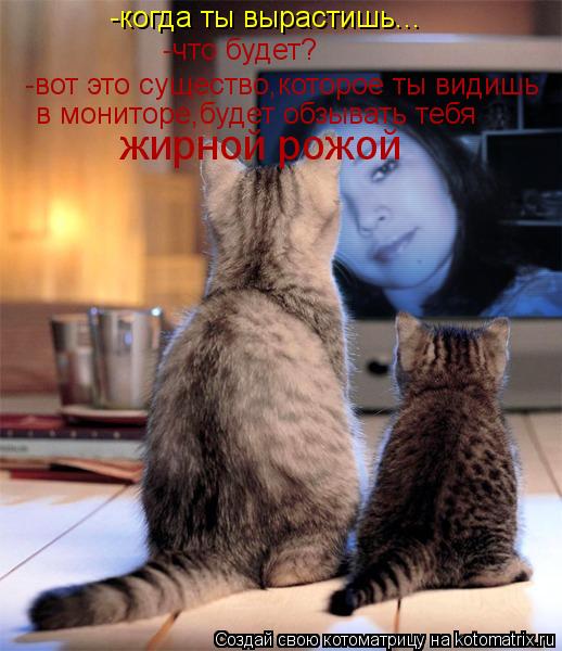-когда ты вырастишь... -что будет? -вот это существо,которое ты видишь в мониторе,будет обзывать тебя... Котоматрица: -когда ты вырастишь... -что будет? -вот это существо,которое ты видишь в мониторе,будет обзывать тебя жирной рожой
