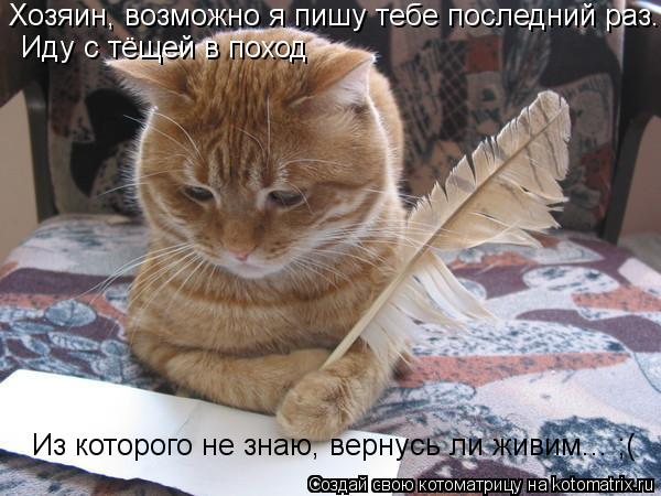 Хозяин, возможно я пишу тебе последний раз... Иду с тёщей в поход Из которого не знаю, вернусь ли жив... Котоматрица: Хозяин, возможно я пишу тебе последний раз... Иду с тёщей в поход Из которого не знаю, вернусь ли живим... ;(