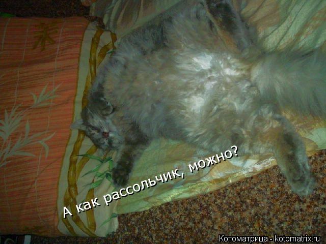 А как рассольчик, можно?... Котоматрица: А как рассольчик, можно?