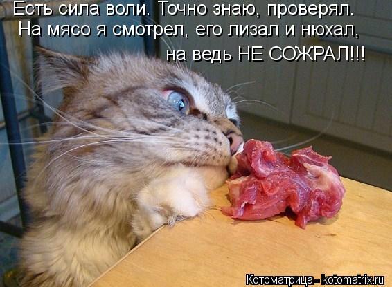 Есть сила воли. Точно знаю, проверял. На мясо я смотрел, его лизал и нюхал, на ведь НЕ СОЖРАЛ!!!... Котоматрица: Есть сила воли. Точно знаю, проверял. На мясо я смотрел, его лизал и нюхал, на ведь НЕ СОЖРАЛ!!!
