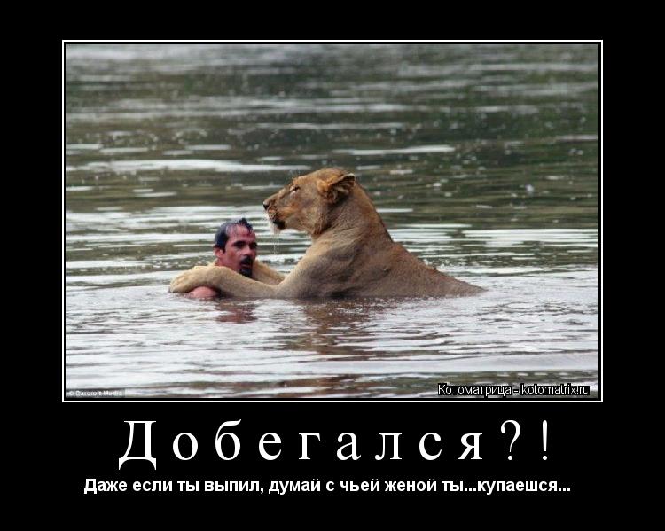 Добегался?! Даже если ты выпил, думай с чьей женой ты...купаешся... ... Котоматрица: Добегался?! Даже если ты выпил, думай с чьей женой ты...купаешся...