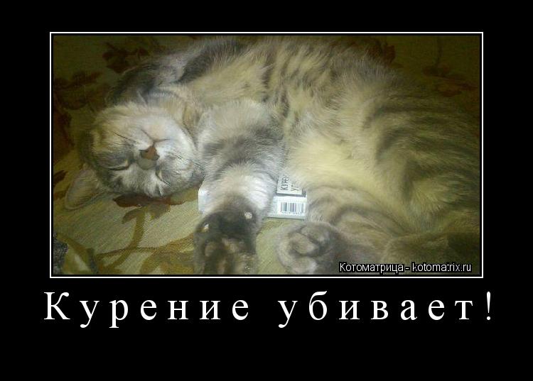 Котоматрица: Курение убивает! 