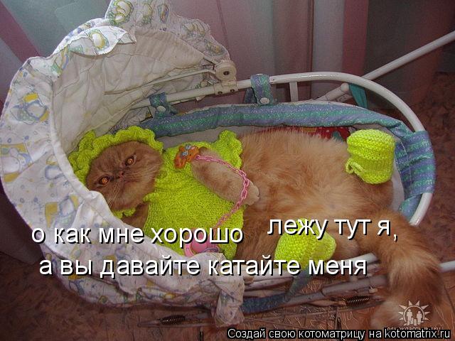 о как мне хорошо лежу тут я , а вы давайте катайте меня... Котоматрица: о как мне хорошо лежу тут я , а вы давайте катайте меня
