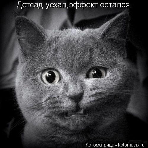 Детсад уехал,эффект остался.... Котоматрица: Детсад уехал,эффект остался.