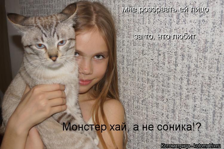 мне розорвать ей лицо мне розорвать ей лицо за то, что любит Монстер хай, а не соника!?... Котоматрица: мне розорвать ей лицо мне розорвать ей лицо за то, что любит Монстер хай, а не соника!?