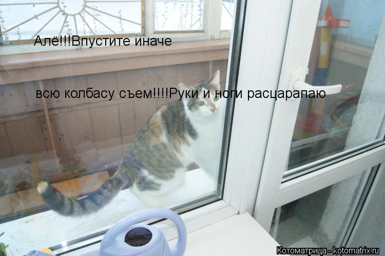 Котоматрица: Алё!!!Впустите иначе всю колбасу съем!!!!Руки и ноги расцарапаю