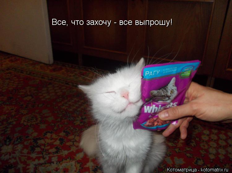 Все, что захочу - все выпрошу!... Котоматрица: Все, что захочу - все выпрошу!