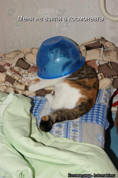 Котоматрица: Меня не взяли в космонавты