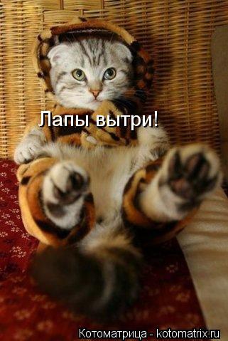 Лапы вытри!... Котоматрица: Лапы вытри!