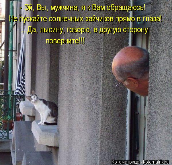 - Эй, Вы, мужчина, я к Вам обращаюсь! Не пускайте солнечных зайчиков прямо в глаза! ...Да, лысину, г... Котоматрица: - Эй, Вы, мужчина, я к Вам обращаюсь! Не пускайте солнечных зайчиков прямо в глаза! ...Да, лысину, говорю, в другую сторону поверните!!!