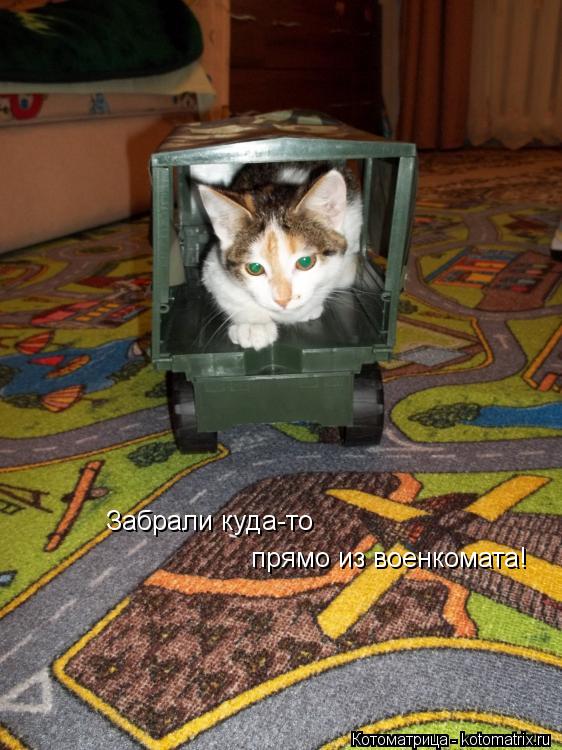 Забрали куда-то прямо из военкомата!... Котоматрица: Забрали куда-то прямо из военкомата!