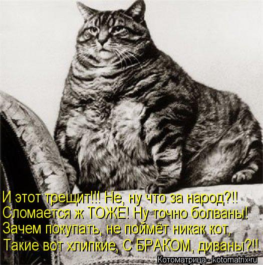 И этот трещит!!! Не, ну что за народ?!! Сломается ж ТОЖЕ! Ну точно болваны! Зачем покупать, не поймёт... Котоматрица: И этот трещит!!! Не, ну что за народ?!! Сломается ж ТОЖЕ! Ну точно болваны! Зачем покупать, не поймёт никак кот, Такие вот хлипкие, С БРАКОМ, дива