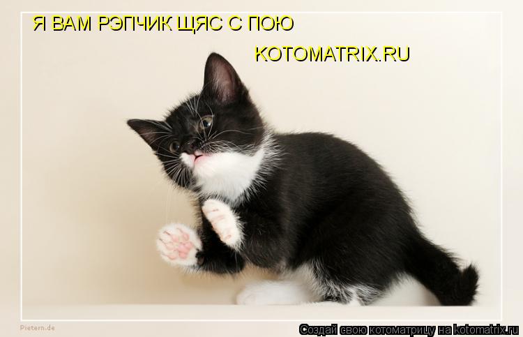 Котоматрица: Я ВАМ РЭПЧИК ЩЯС С ПОЮ KOTOMATRIX.RU