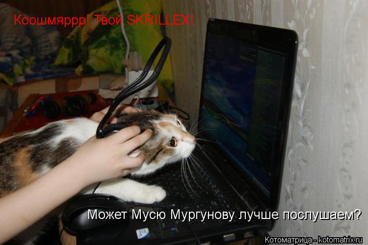 Коошмяррр! Твой SKRILLEX! Коошмяррр! Твой SKRILLEX! Может Мусю Мургунову лучше послушаем?... Котоматрица: Коошмяррр! Твой SKRILLEX! Коошмяррр! Твой SKRILLEX! Может Мусю Мургунову лучше послушаем?
