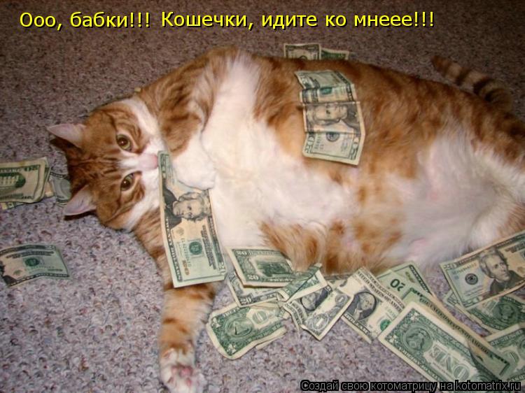 Котоматрица: Ооо, бабки!!! Кошечки, идите ко мнеее!!!