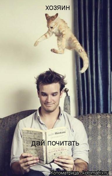 хозяин дай почитать... Котоматрица: хозяин дай почитать