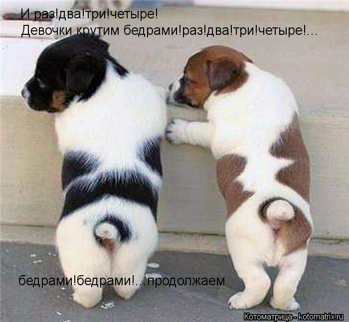И раз!два!три!четыре! Девочки крутим бедрами!раз!два!три!четыре!... бедрами!бедрами!...продолжаем... Котоматрица: И раз!два!три!четыре! Девочки крутим бедрами!раз!два!три!четыре!... бедрами!бедрами!...продолжаем